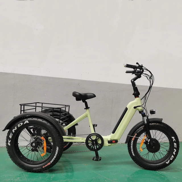 electric trike