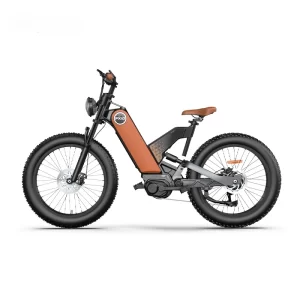 an electric bike