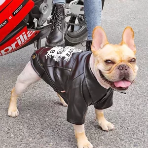 motorcycle clothes for dogs